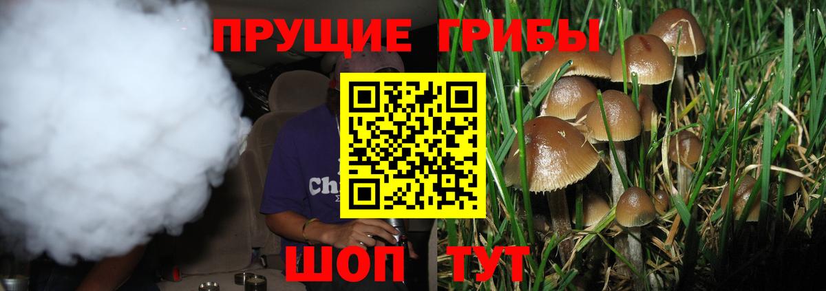 Саранск  Псилоцибиновые грибы прущие грибы  Вход с VPN 